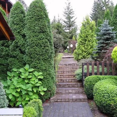 Seventh Heaven Mykulychyn